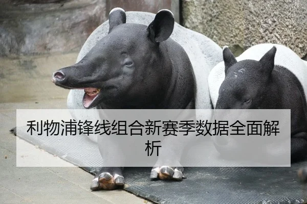 利物浦锋线组合新赛季数据全面解析